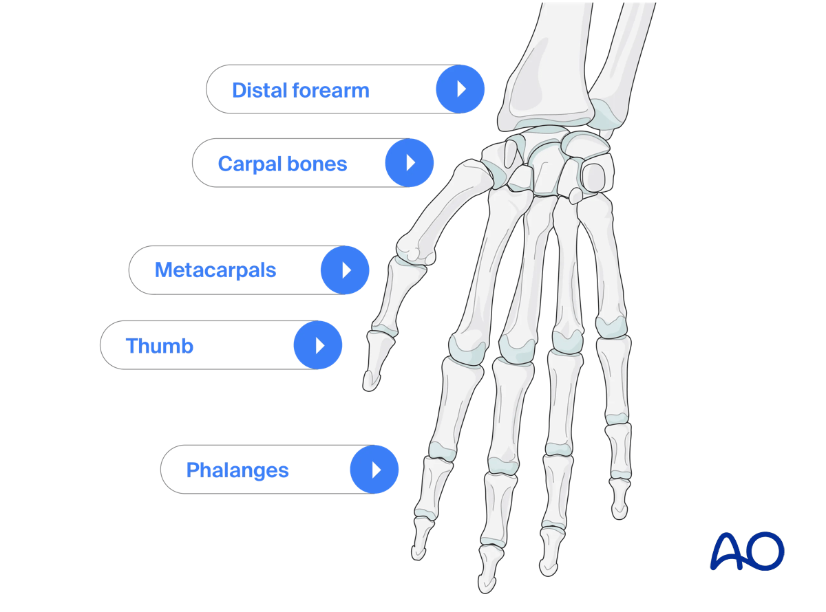 AO Surgery Reference Recommended reading for hand and wrist courses